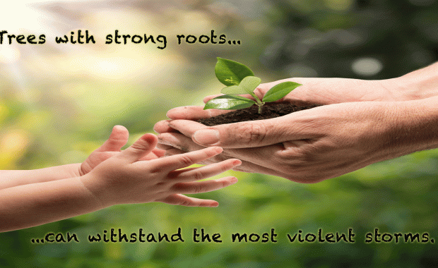 With strong roots you can withstand any storm